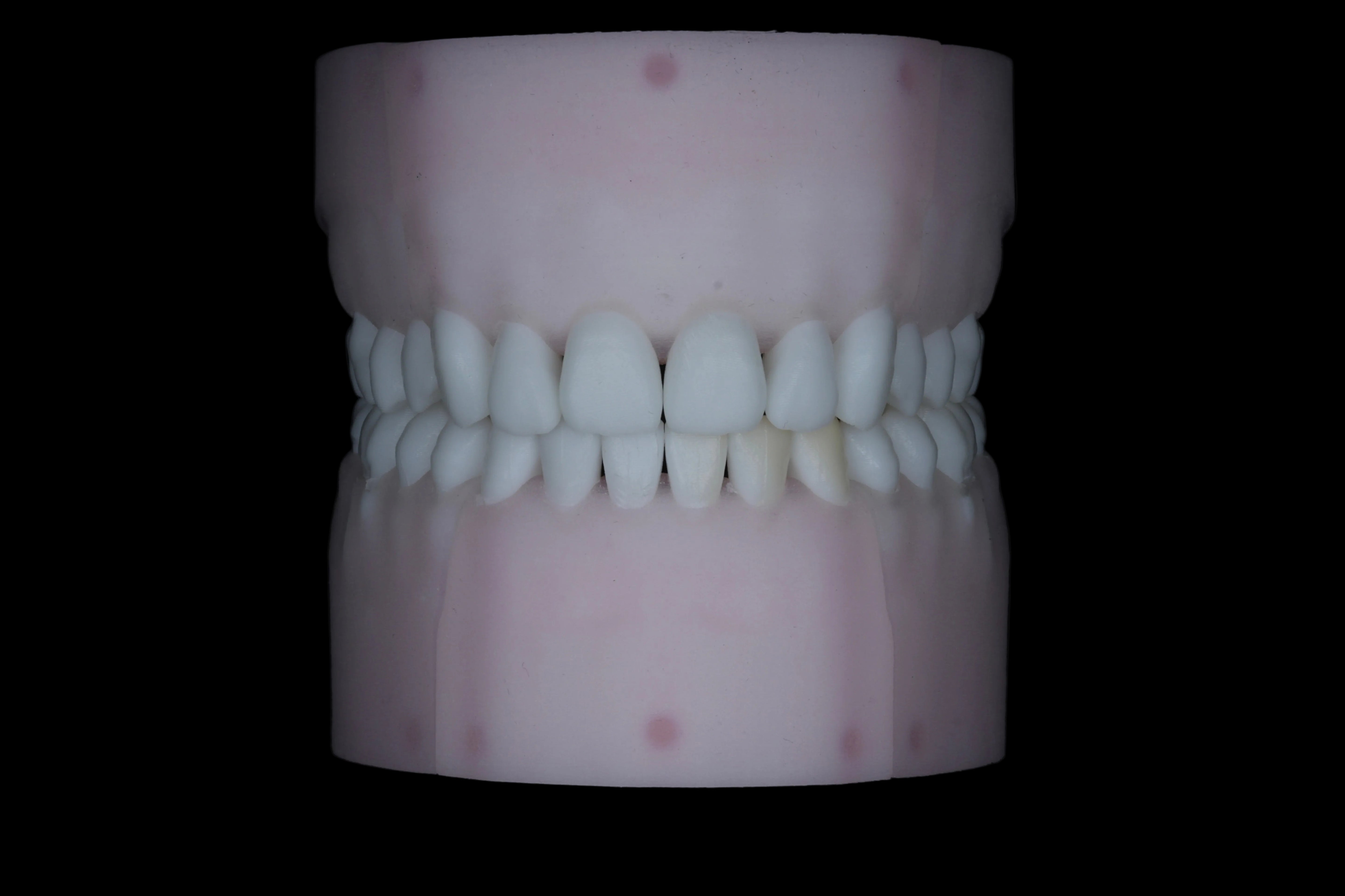 Base Model