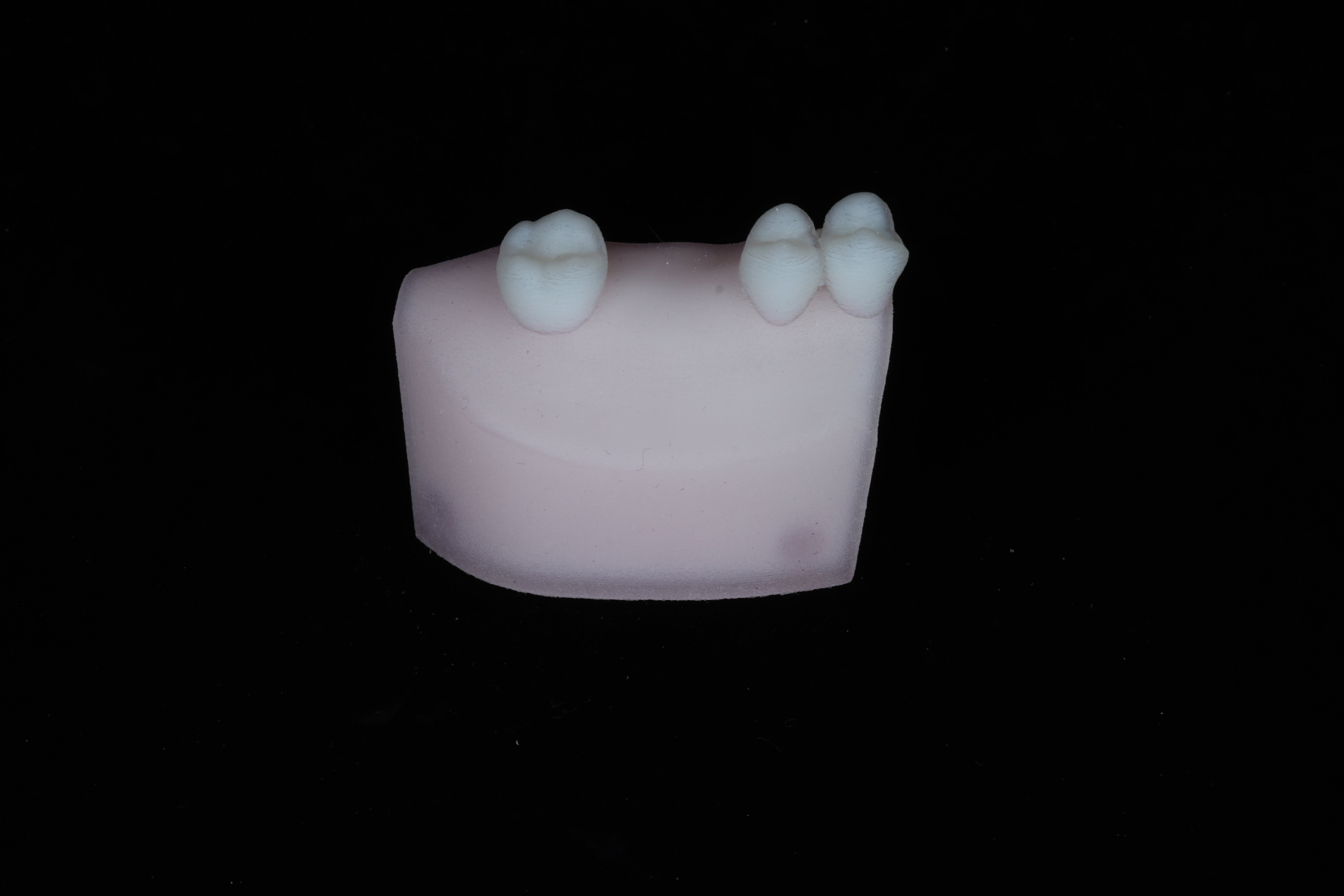 Implant Training Module