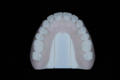 Base Model