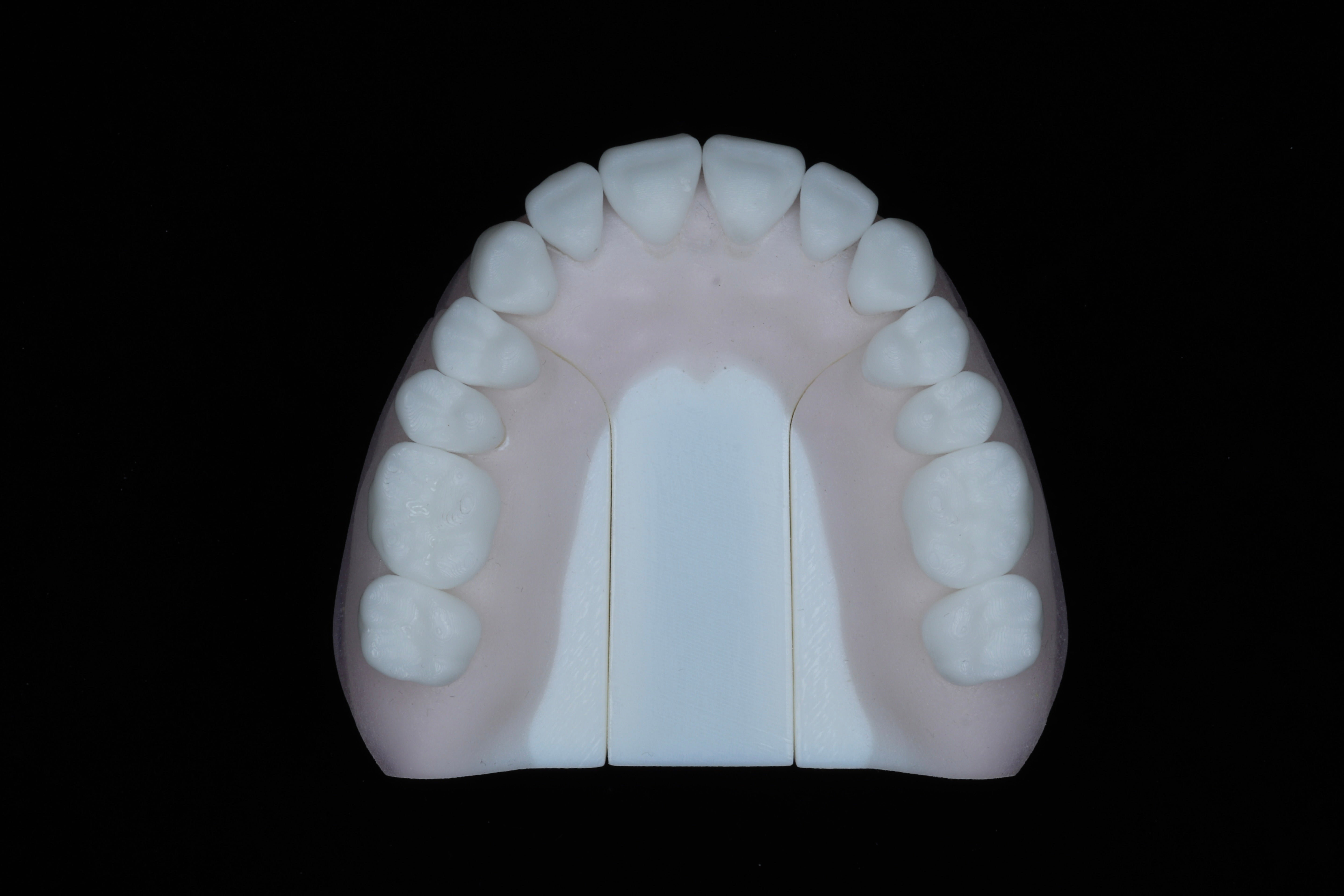 Base Model