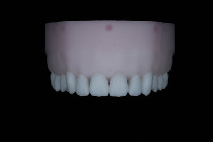 Base Model