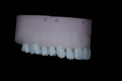 Base Model