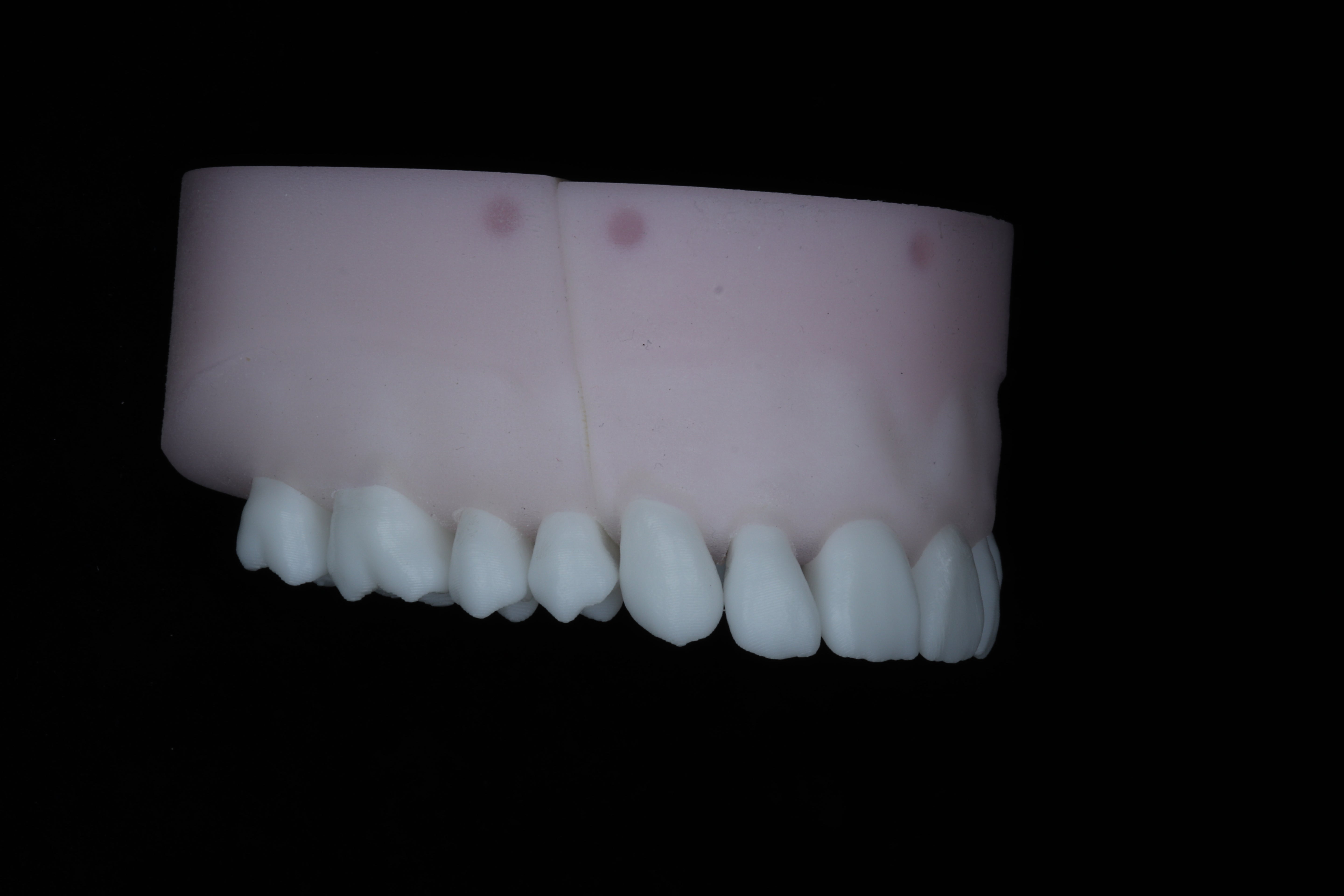 Base Model