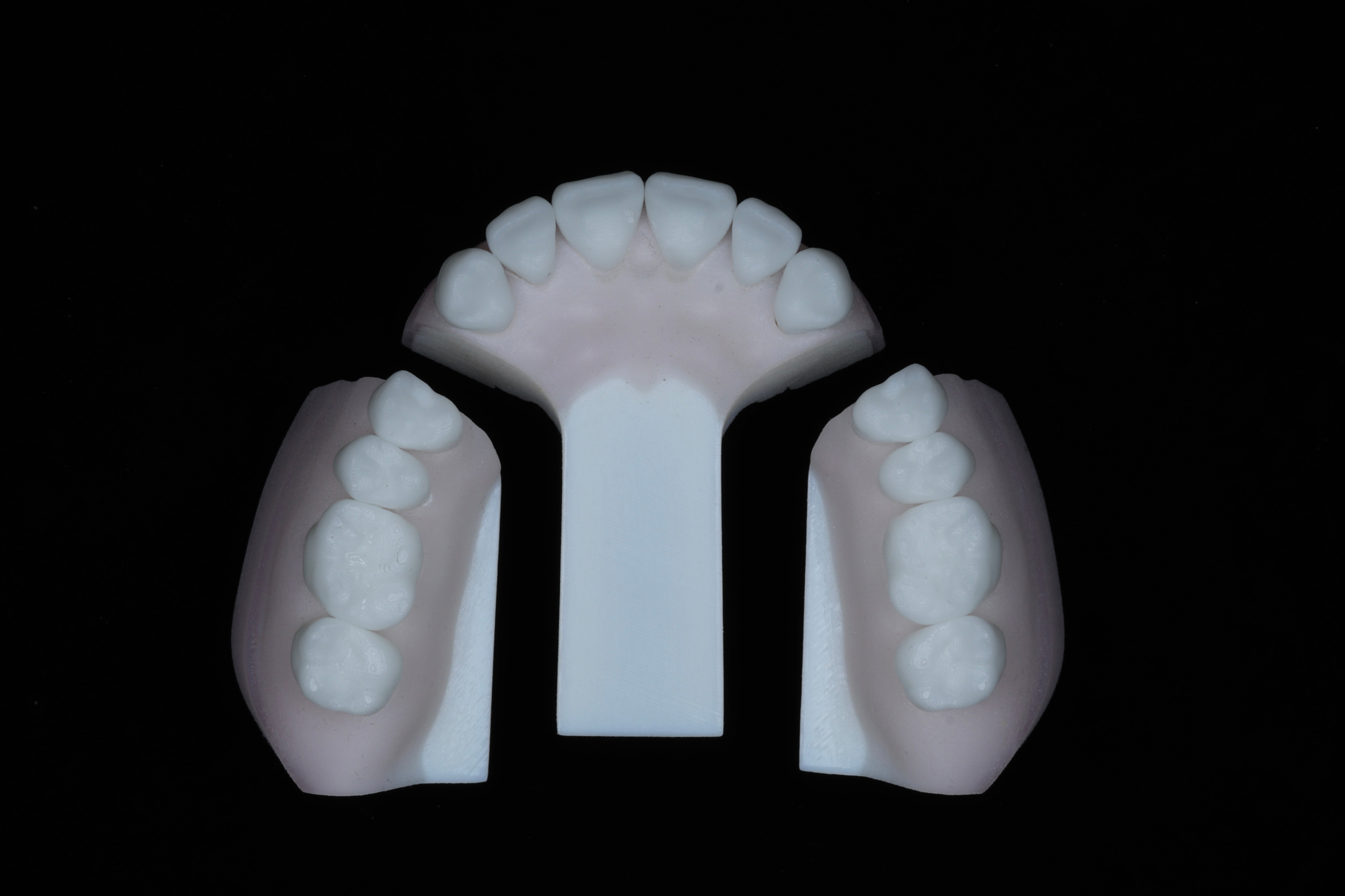 Base Model