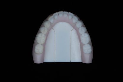 Base Model