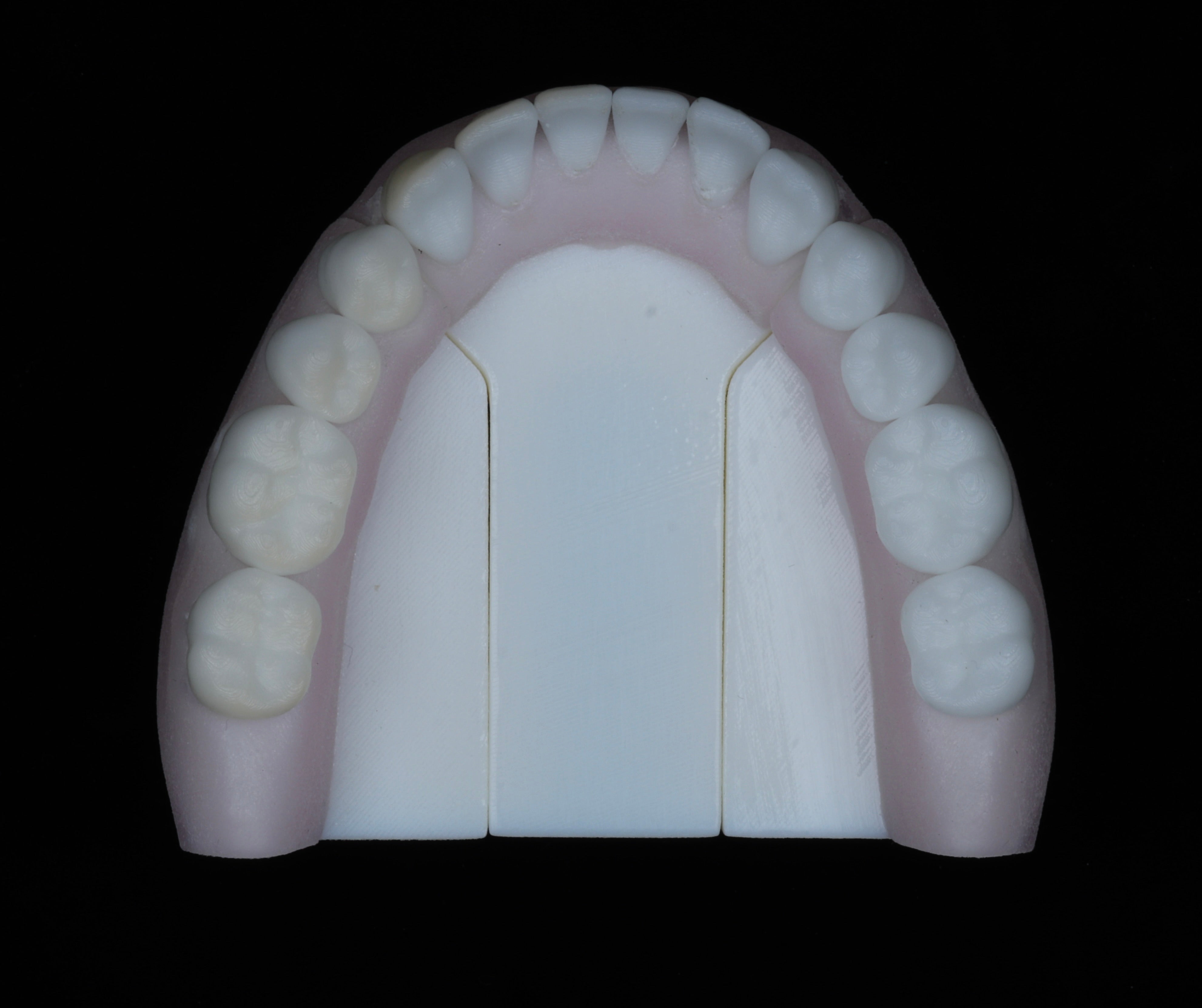 DOJO Teeth