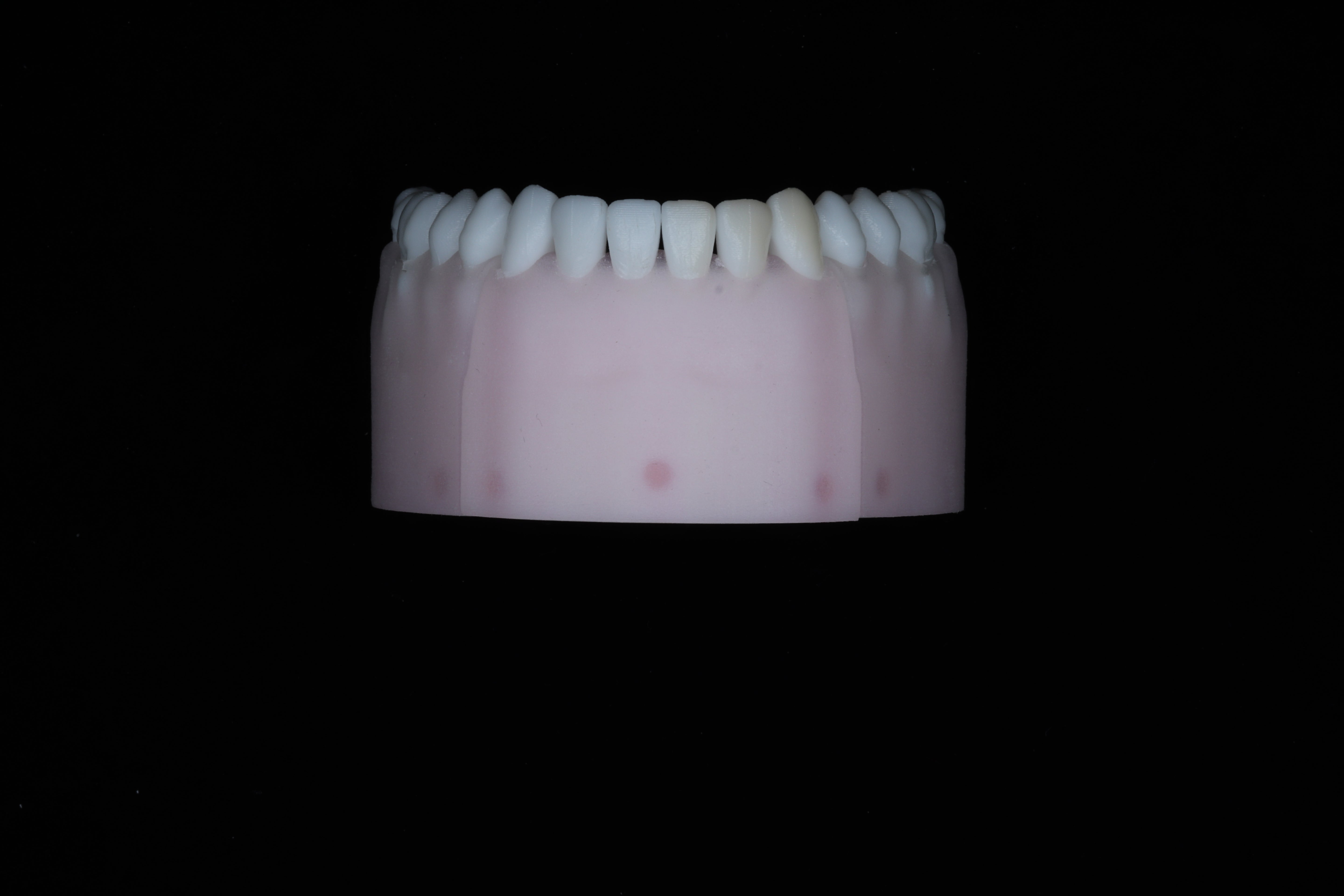 Base Model