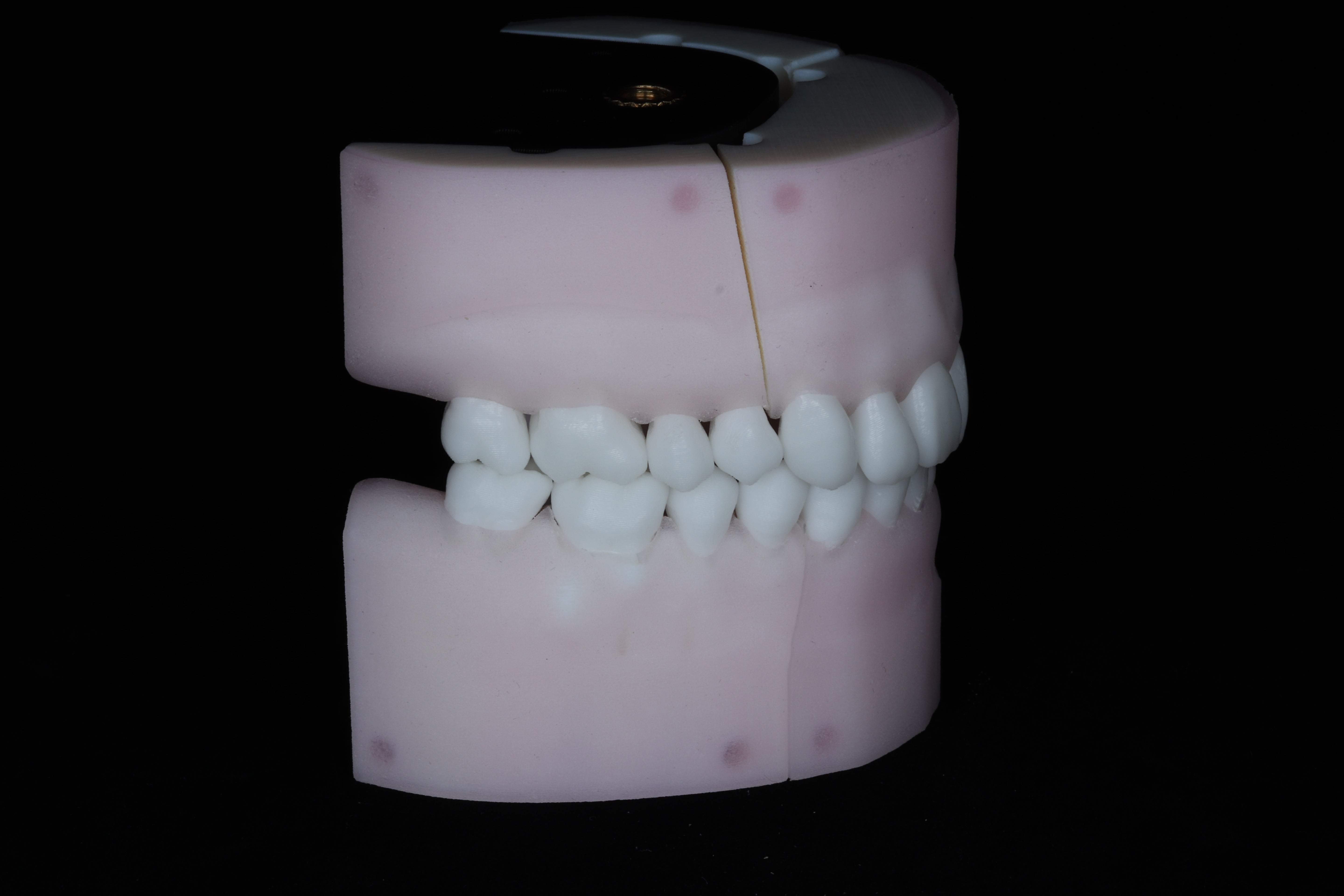 Base Model