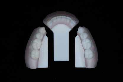 Base Model