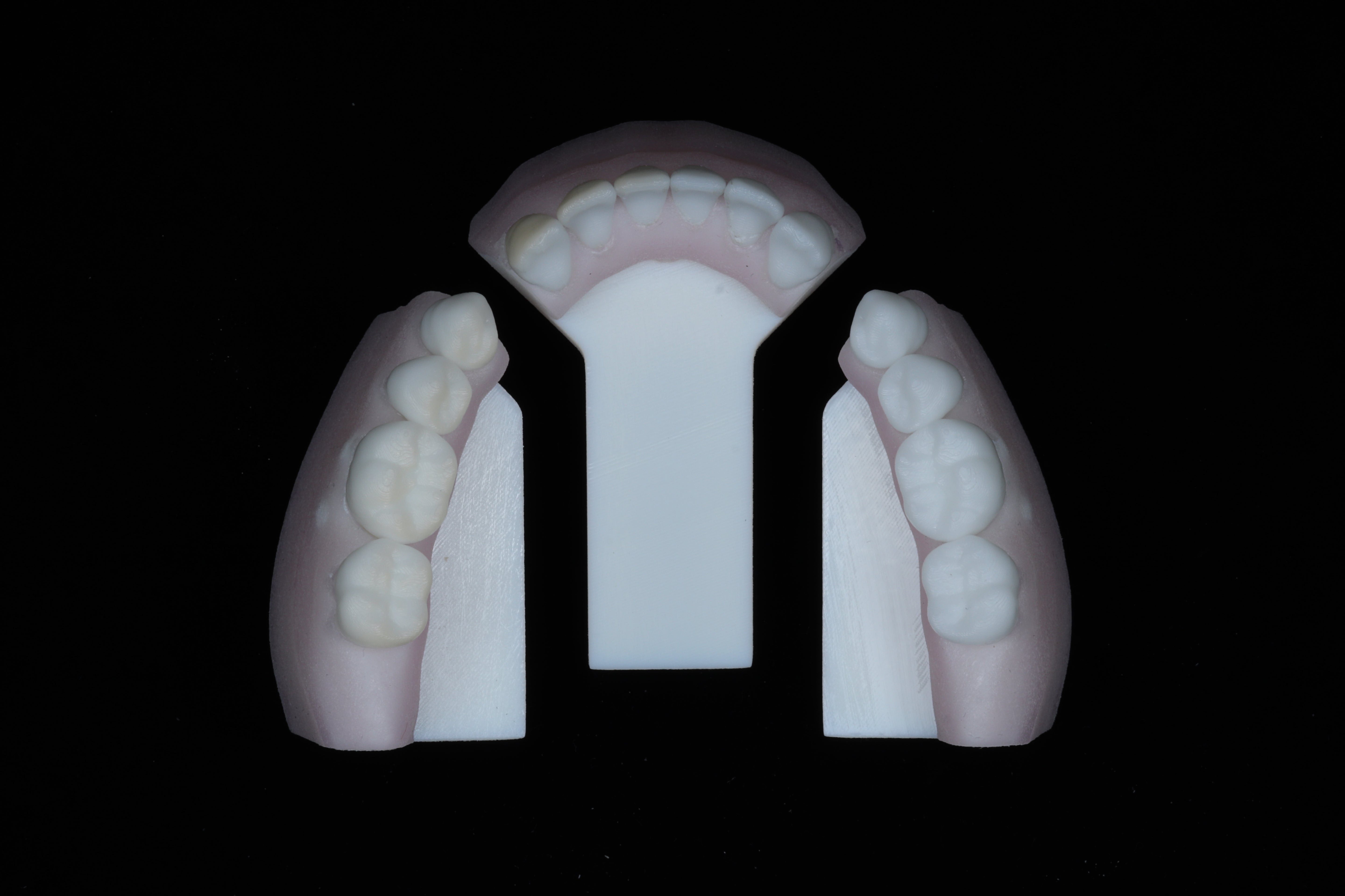 Base Model