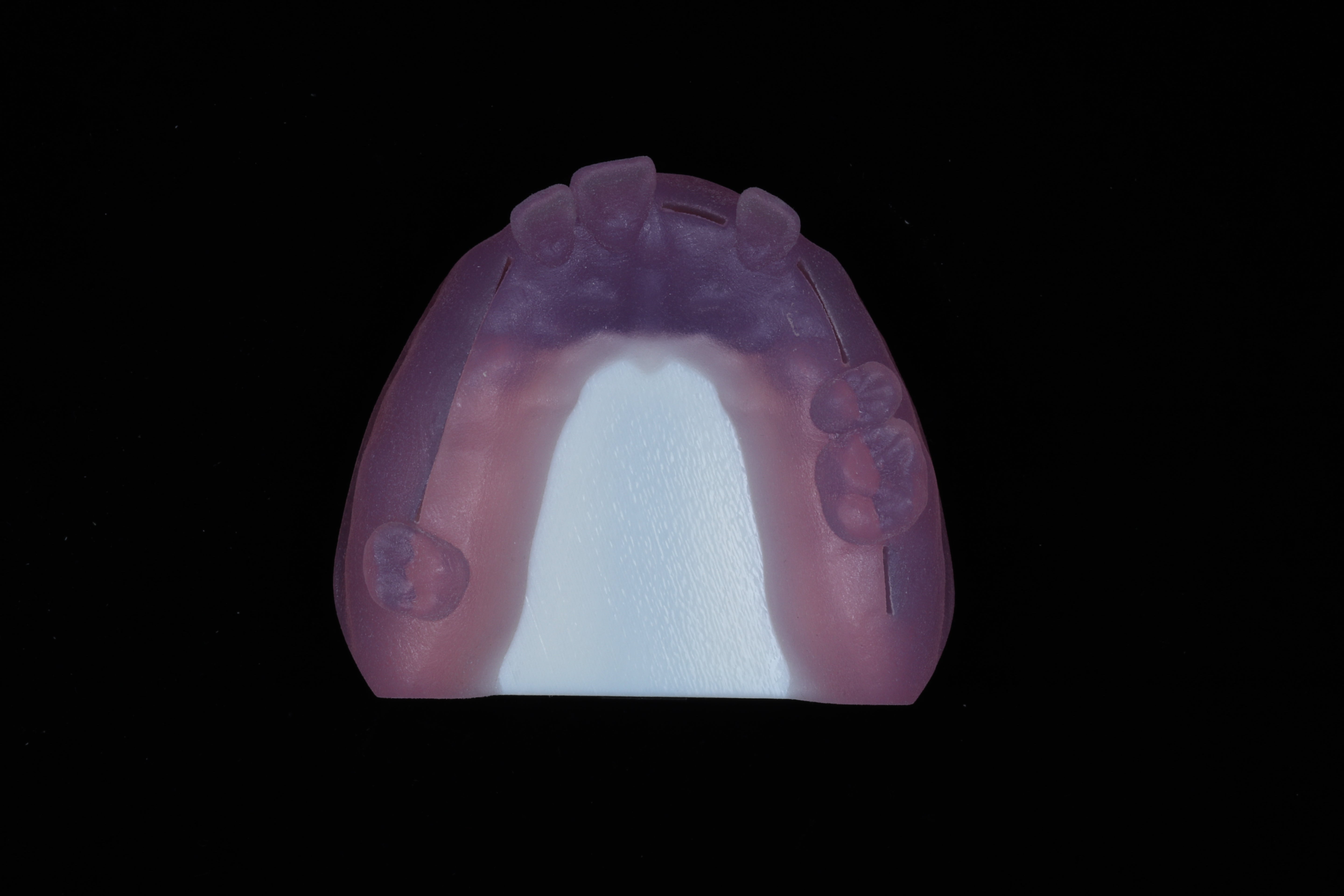 Dental Suturing Model
