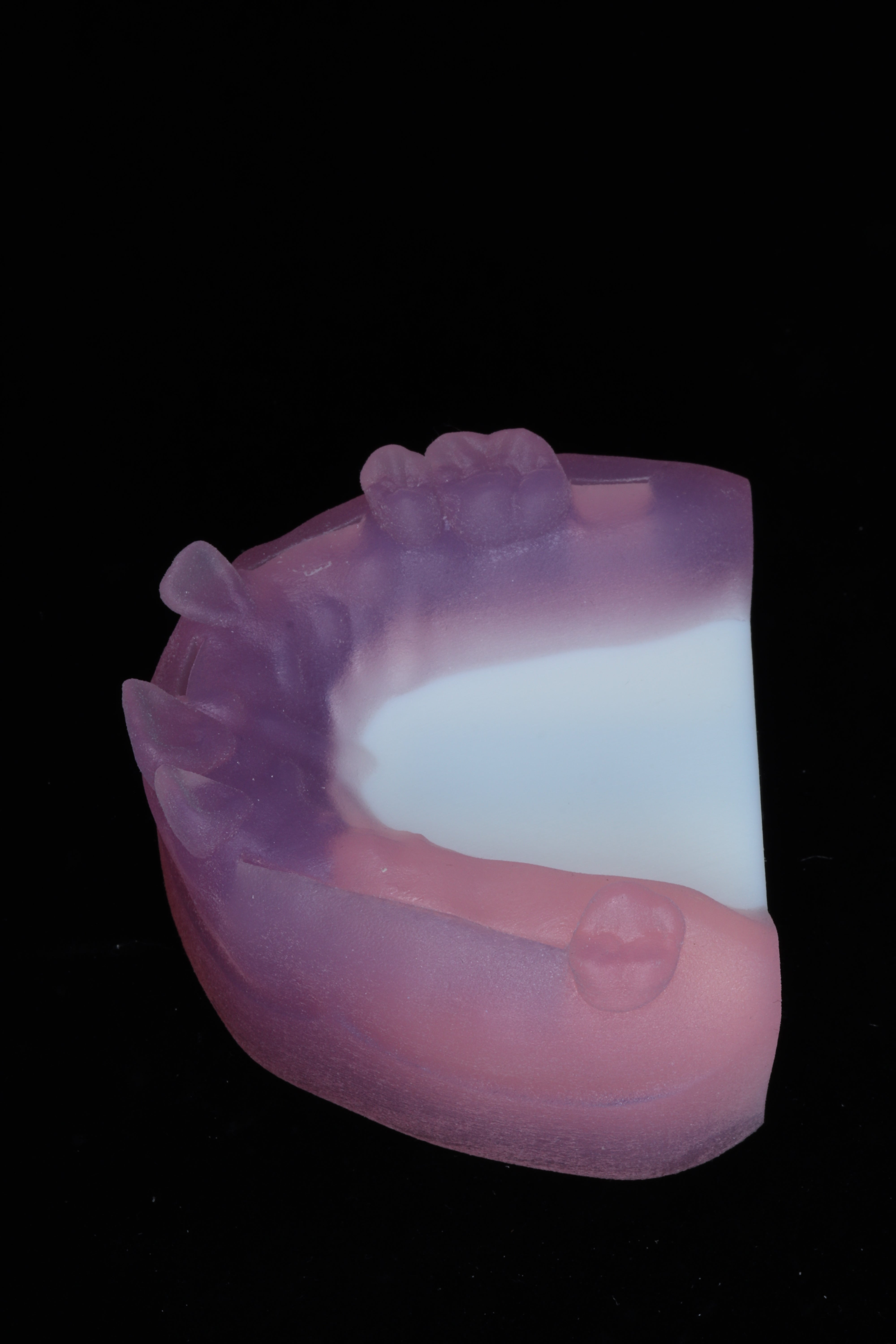 Dental Suturing Model