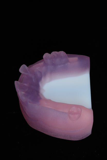 Dental Suturing Model