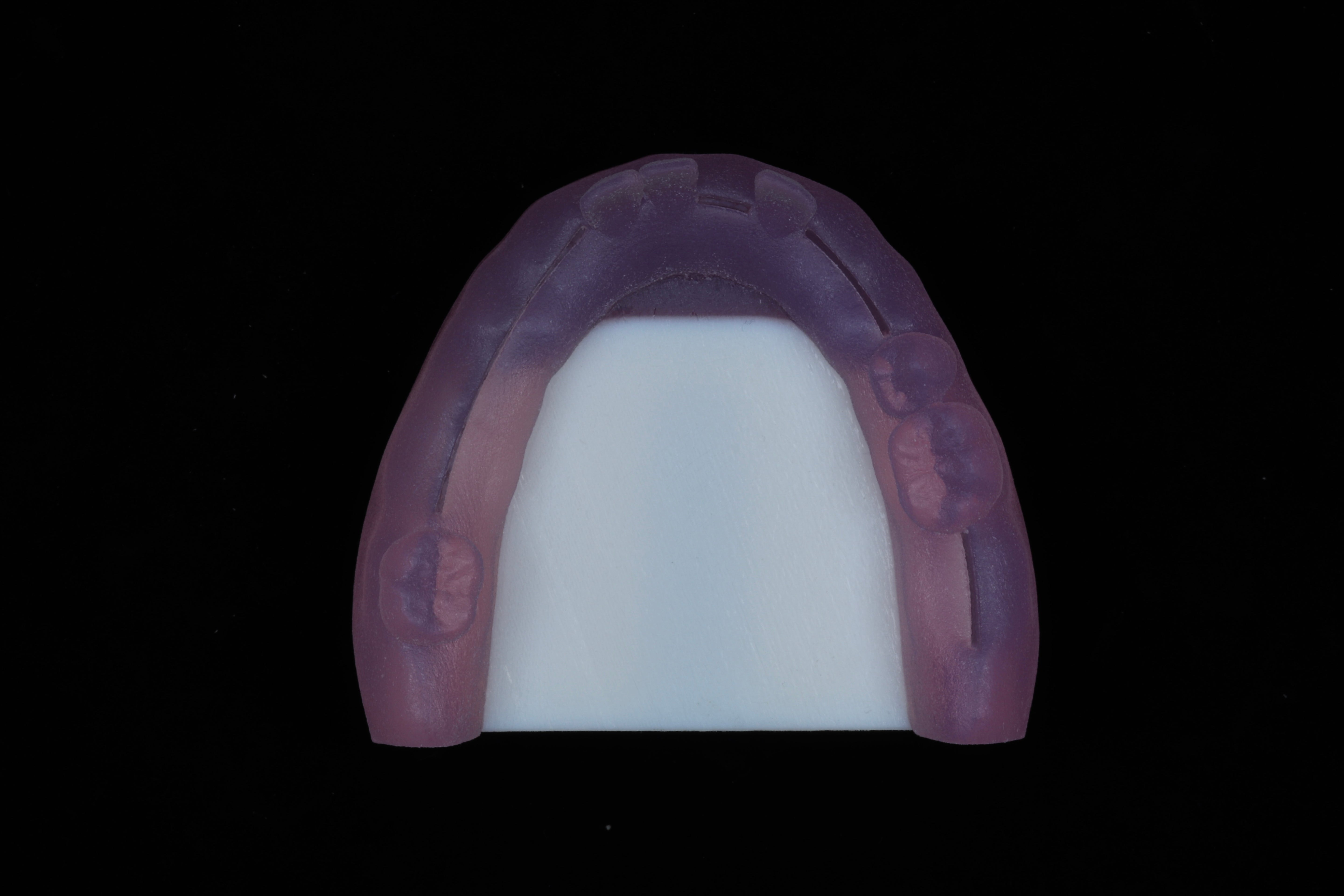 Dental Suturing Model