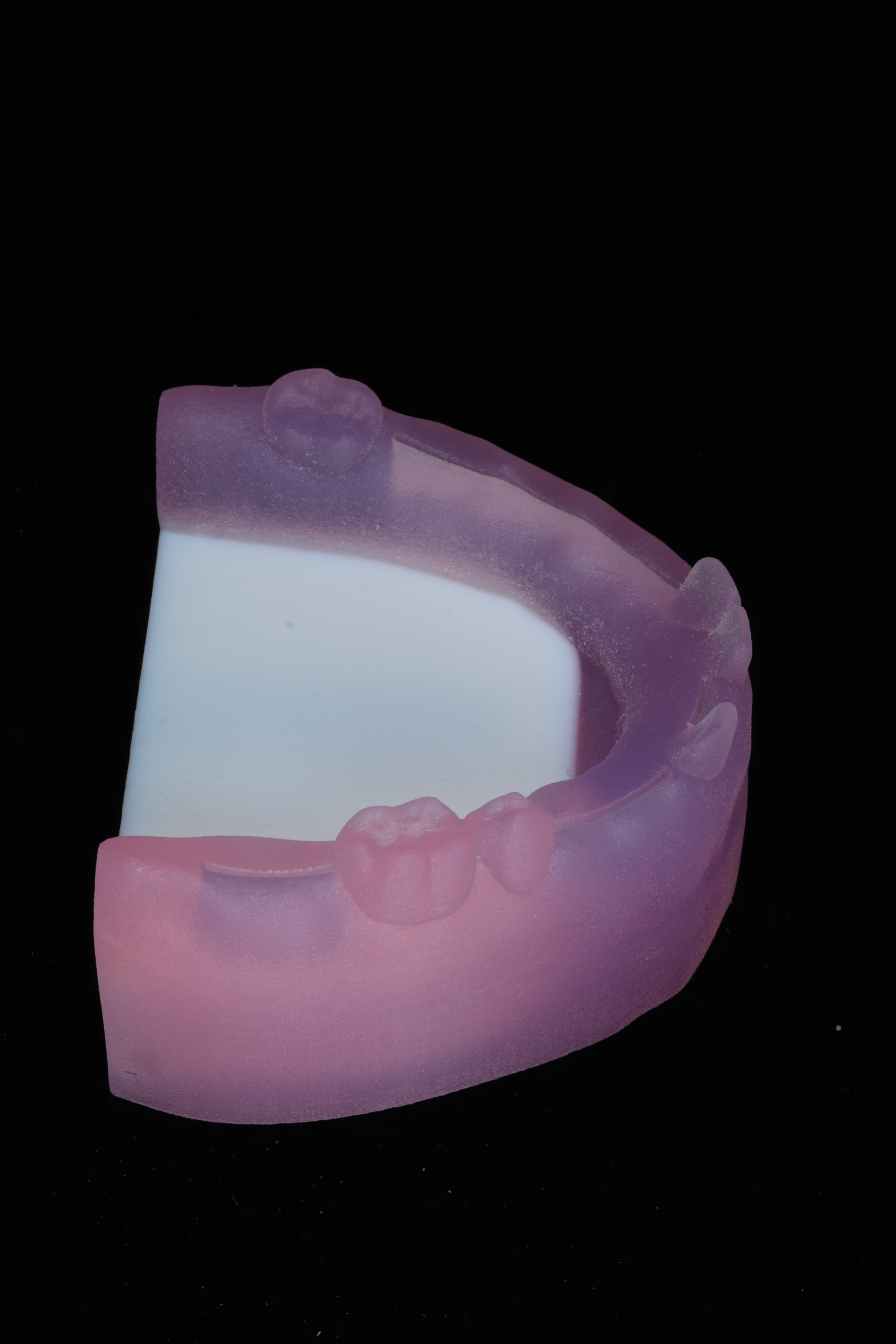 Dental Suturing Model