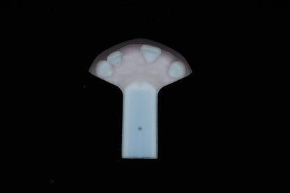 Implant Training Module