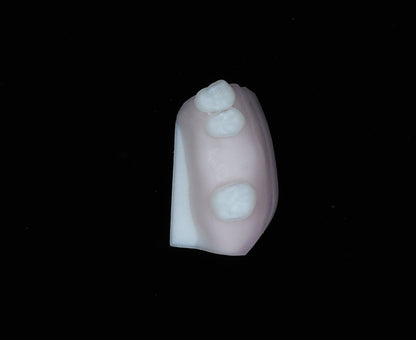Implant Training Module