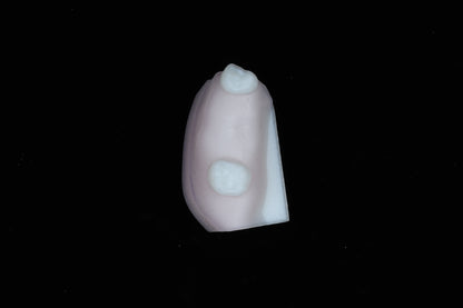 Implant Training Module
