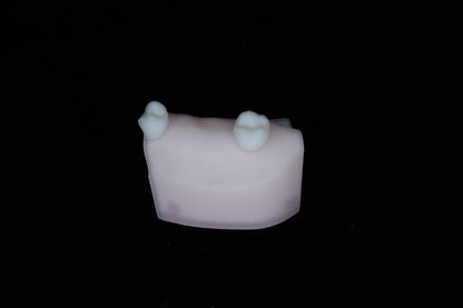 Implant Training Module
