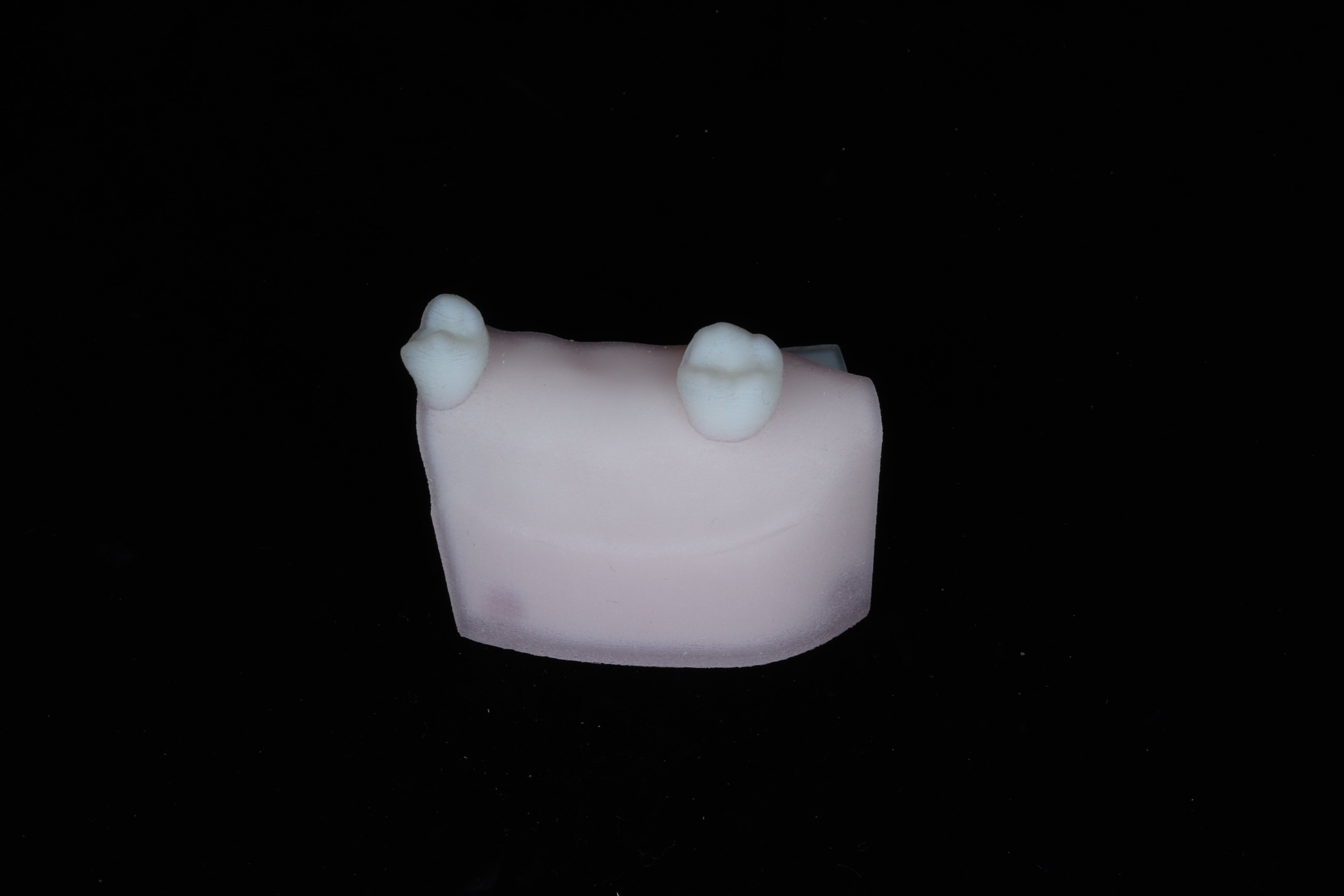 Implant Training Module