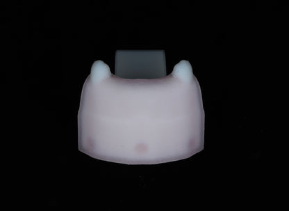 Implant Training Module