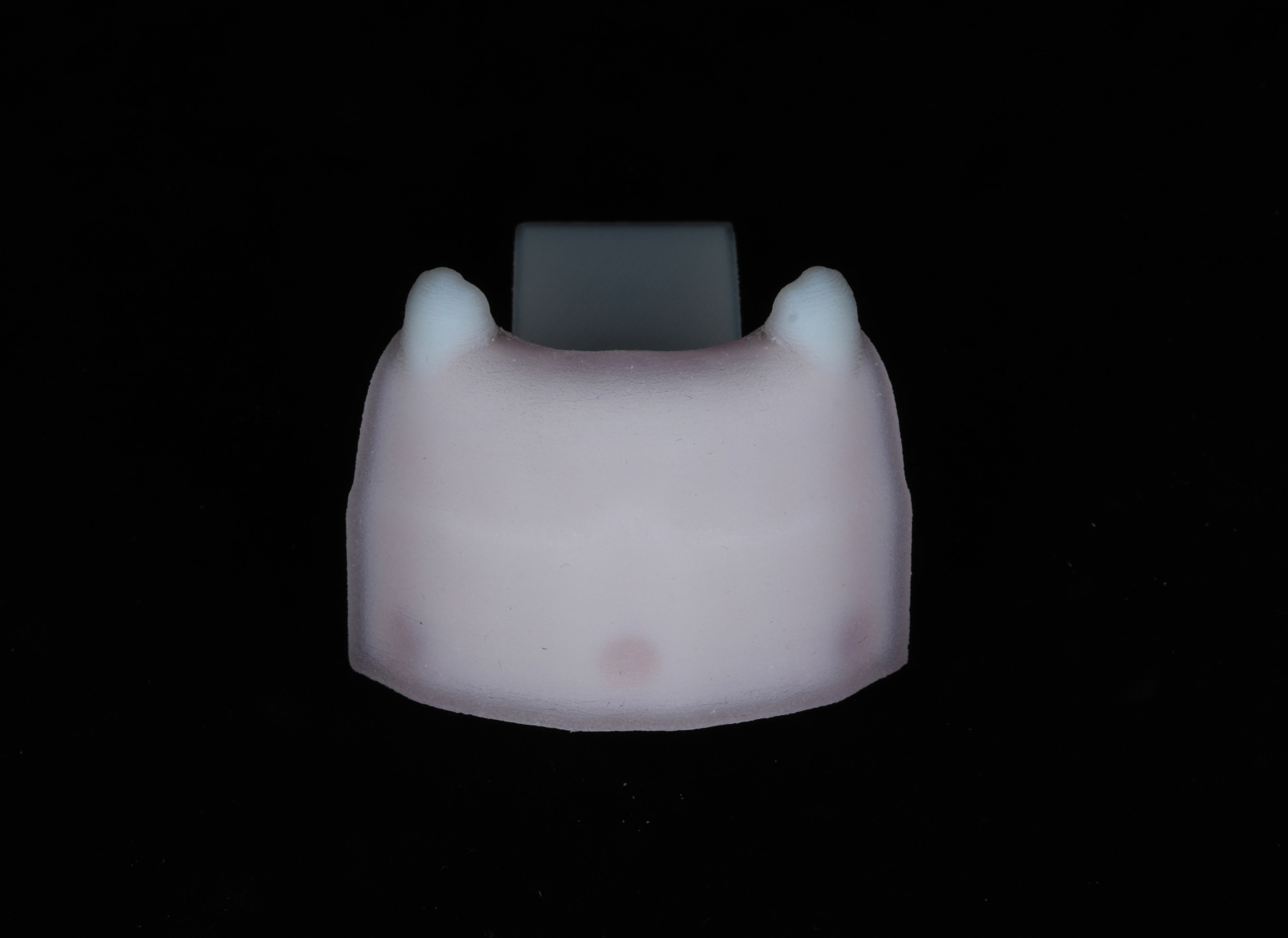 Implant Training Module