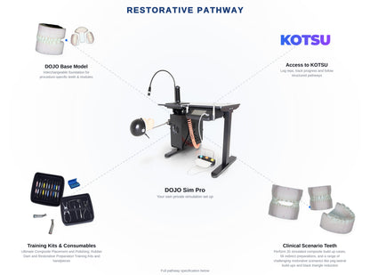 DOJO Reps System
