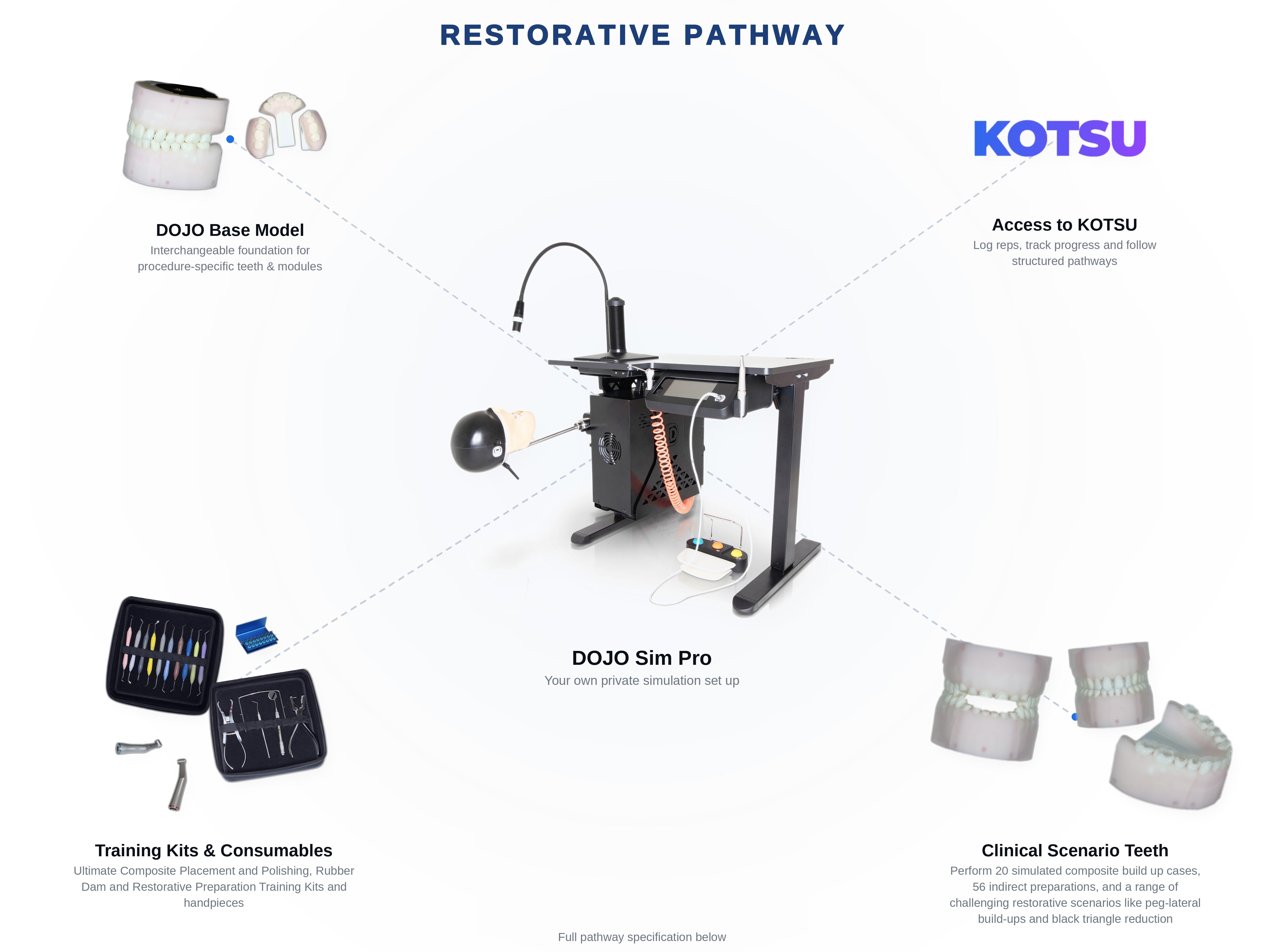 DOJO Reps System
